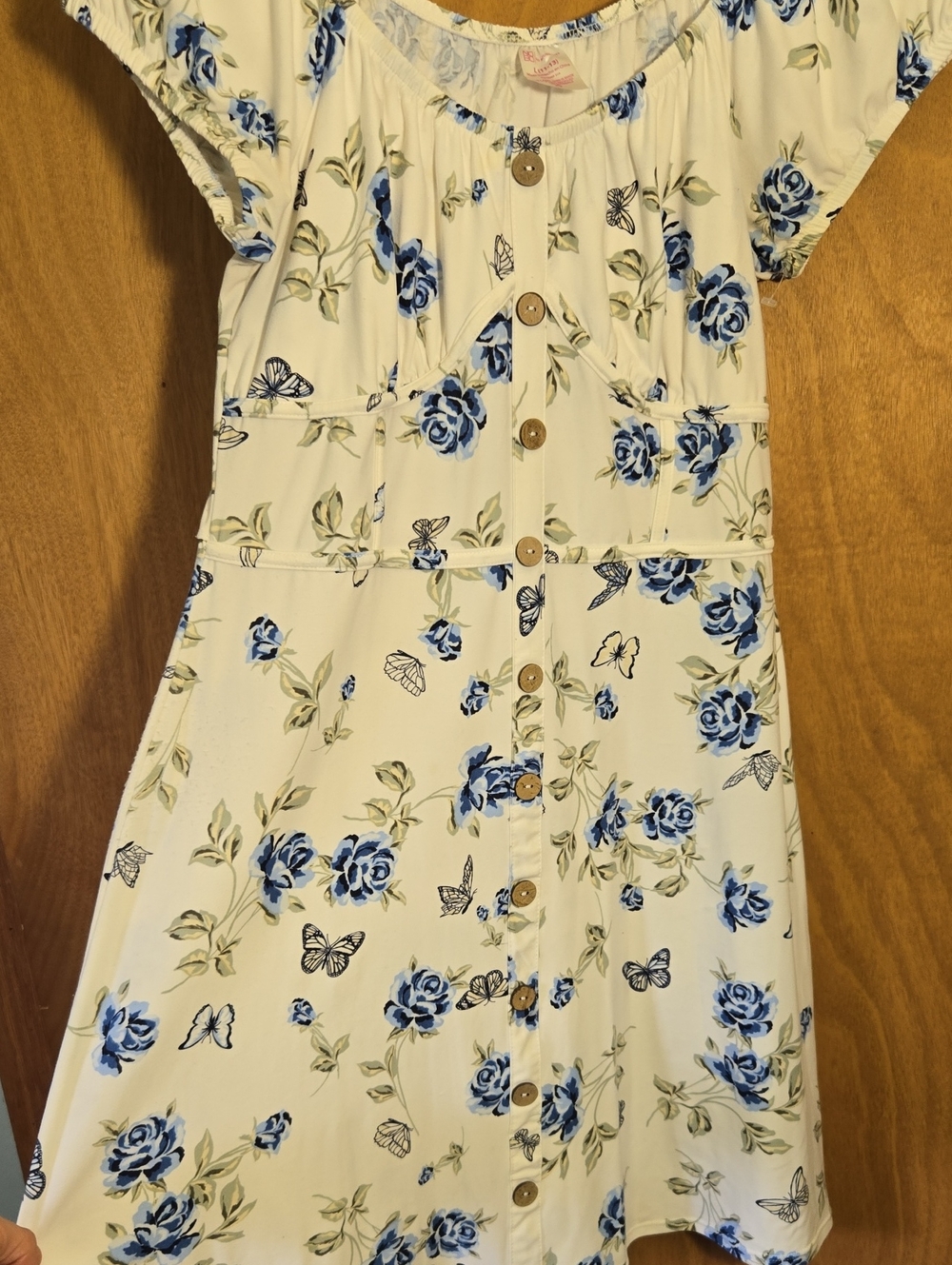 No Boundaries Cream Dress with Blue Floral Print